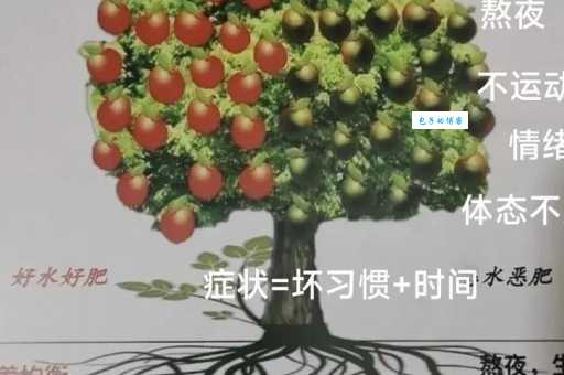 一树百获什么意思？简单解释让你一眼就看懂！