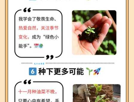 嫩芽是什么意思？用这个简单方法快速掌握理解