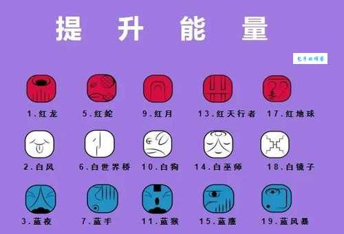 玛法达星座运势准不准?资深占星师为你深度解析