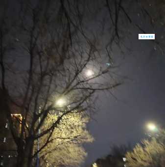 两轮明月打一个字竟然是它?很多人第一次没猜对!