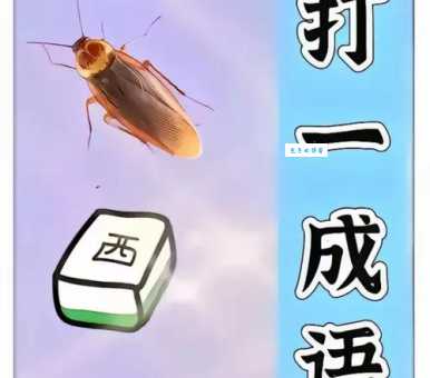 众醉独醒打一数字的正确答案揭晓!猜到的人是高手