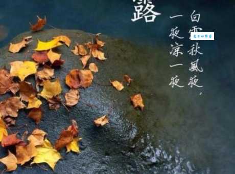 白露有什么美好的寓意？三个方面带你了解节气文化！