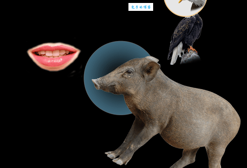 嘴巴大就叫喙长三尺吗?关于喙长三尺的解释!