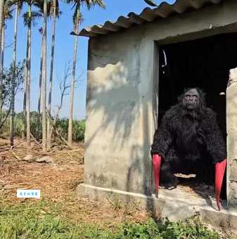 瞑目蹲身的意思是什么？教你快速掌握真正的含义！