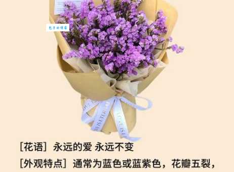 勿忘我花语是什么？了解它背后的浪漫传说故事！