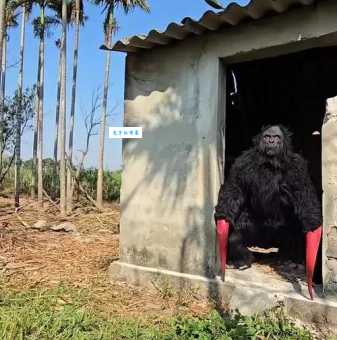 瞑目蹲身到底是什么意思？一分钟带你了解背后的深意