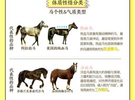 野马无缰打一准确动物怎么猜?一个技巧帮你秒懂