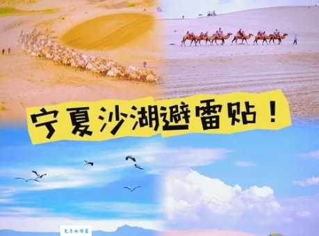 沙湖景区在哪个城市？自驾游玩攻略看这一篇就够了！