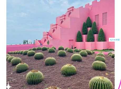 火山岛自然生态风景区有什么特色？这几个打卡点别错过！