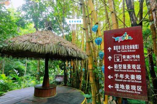 呀诺达热带雨林门票包含哪些项目？超详细解读！