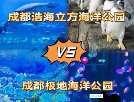 成都海昌极地海洋馆游玩攻略：必看表演和路线推荐！