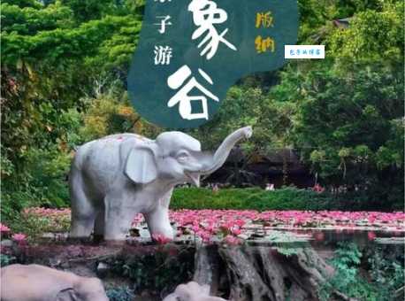 野象谷在哪个城市？看完这篇攻略带你玩转西双版纳！