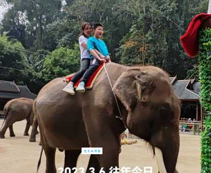 野象谷在哪个城市？看完这篇攻略带你玩转西双版纳！