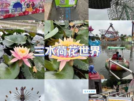 世界荷花博览园值得去吗？看完这篇你就知道了！