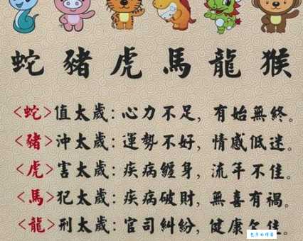 最准确打一准确生肖到底指谁?这几点特征非常明显
