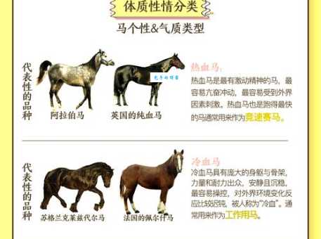 绳趋尺步最正确生肖怎么选？这几个特点帮你快速找出来