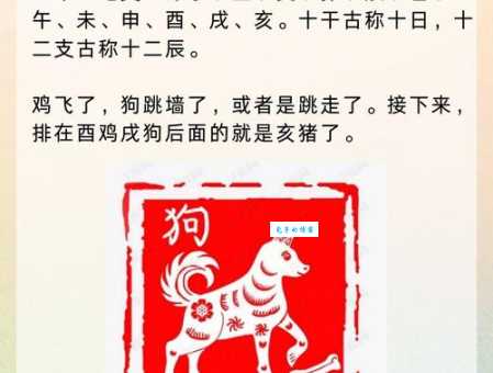 秋水伊人最正确生肖推荐，想知道答案的看过来！