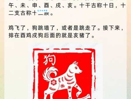 精兵猛将保家国指什么生肖？了解生肖文化背后的特殊寓意！