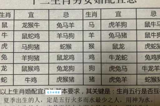 变化多端的生肖是什么生肖?为你推荐这几个准确的答案!