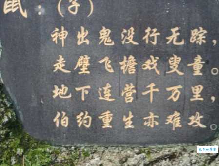 悬驼就石打一生肖是什么?这个生肖的含义很有趣!