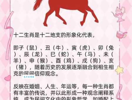 驷不及舌代表什么生肖？一起来看看生肖背后的深刻含义