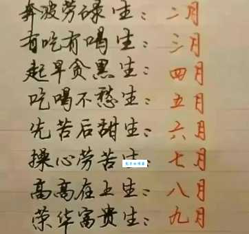 马不停蹄打一最准确生肖?解析谜底背后的生肖含义