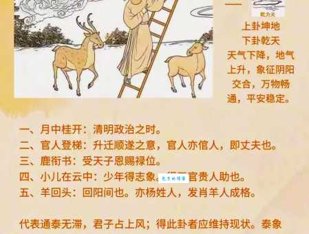 东山再起打正确一肖是什么？教你如何正确理解含义！