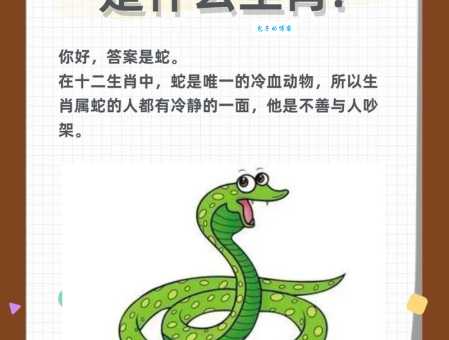 无影无踪是代表什么生肖？解开背后的动物真相！