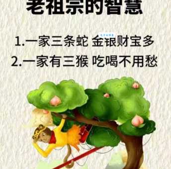 垂帘听政三大生肖谁最强？详解这些背后掌控全局的属相！