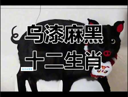 乌灯黑火打一肖是什么动物？老一辈人是这样解释的！