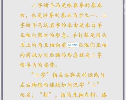 提纲挈领代表什么生肖?从成语意思深度解析答案!