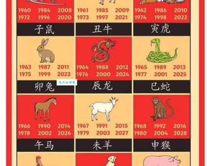 猜猜十二生肖心怀鬼胎动物,这几个生肖的特点很符合!