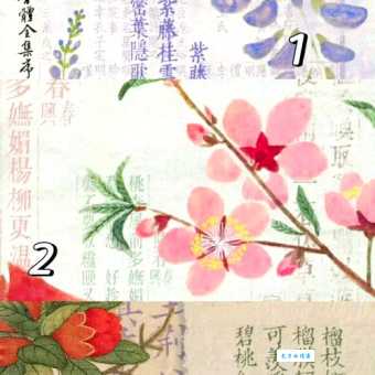 日上三竿最准确生肖答案分享，快来看看是不是你想的那样！