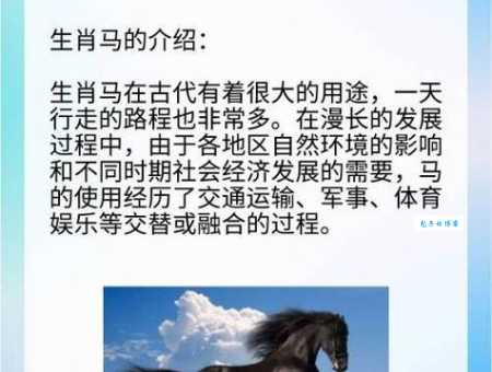 万马奔腾打一个正确生肖是什么生肖?看完这篇文章就懂了!