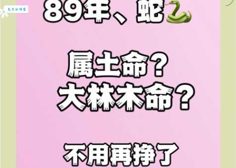 一九花木在词林是什么生肖?为你解析其中含义!