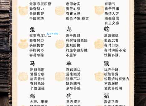 杂乱无章的生肖是什么？为你分析其中蕴含的生肖奥秘！