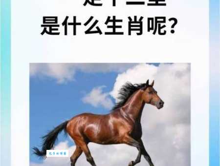 滔滔不绝是什么生肖的代名词？这三个生肖说话从来不停歇
