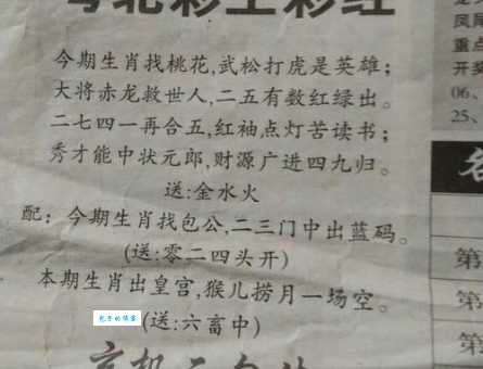 红袖点灯打一最准动物的含义解析，看完你就明白该选谁了！