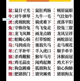 接二连三是指什么生肖？详细解析这个成语对应的生肖！