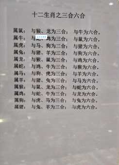 接二连三是指什么生肖？详细解析这个成语对应的生肖！