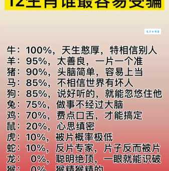 暴风骤雨打一准确生肖答案揭晓，带你了解生肖背后的内涵
