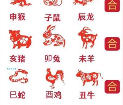 雀马鱼龙对应哪个生肖？教你简单分辨生肖的方法！