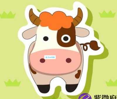 超群出众指打一精准生肖?高手分享独家分析思路!