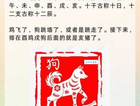 飞沙转石打准确一肖是什么生肖?看完分析你就明白了