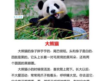 花红柳绿打一最佳动物是谁？看看资深玩家给出的标准答案！