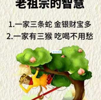 长绳系景(拔树寻根)代表是指什么生肖？民间说法这样讲！