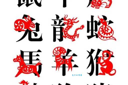 想知道东山再起最佳生肖动物吗？这几种生肖最容易成功！