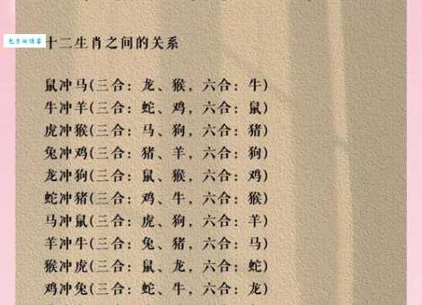 稳吃三注指代表什么生肖？这里有你想要的正确生肖