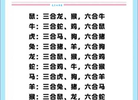 稳吃三注指代表什么生肖？这里有你想要的正确生肖