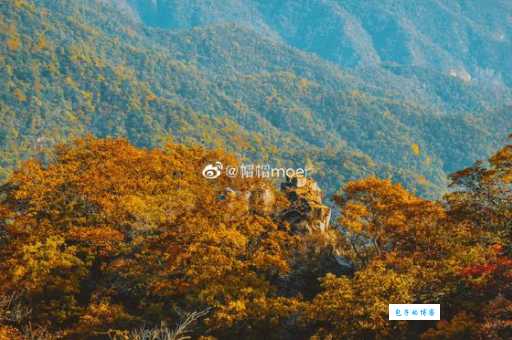 大地春回准确打一生肖的答案，为你详解背后的含义！